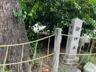 亀ケ池八幡宮(神奈川県)