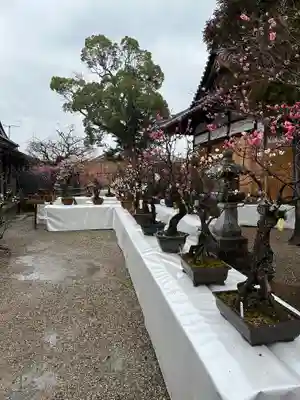 菅原天満宮（菅原神社）(奈良県)