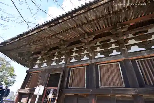東寺（教王護国寺）(京都府)