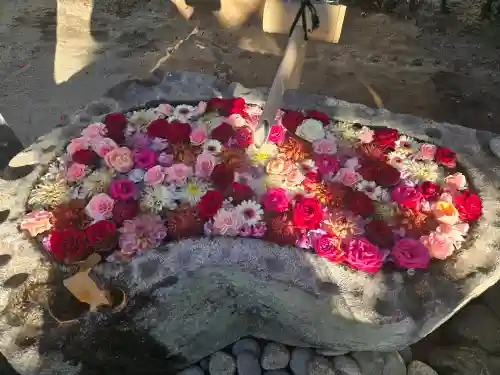 浄誓寺の{uncategorized: "未分類", other: "その他", undefined: "問題あり", building: "その他建物", grave: "お墓", sacred_gate: "鳥居", guardian: "狛犬", statue: "像", buddha: "仏像", history: "歴史", nature: "自然", garden: "庭園", animal: "動物", pagoda: "塔", temizu: "手水舎", mountain_gate: "山門・神門", sanctuary: "本殿・本堂", subordinate: "末社・摂社", art: "芸術", scenery: "景色", jizo: "地蔵", ema: "絵馬", goshuin: "御朱印", omikuji: "おみくじ", items: "授与品その他", amulet: "お守り", goshuincho: "御朱印帳", eats: "食事", festival: "お祭り", votive_dance: "神楽", shichigosan: "七五三参", wedding: "結婚式", experience: "体験その他", initially: "初詣", around: "周辺", anti_infection: "感染症対策"}