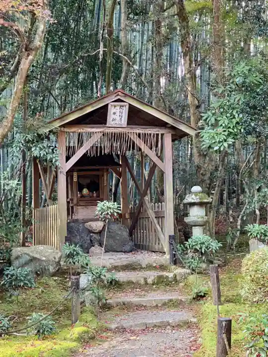 地蔵院(京都府)