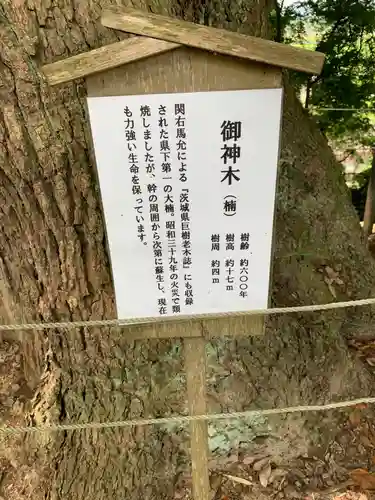 常陸國總社宮(茨城県)