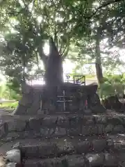 天鷹神社の建物その他