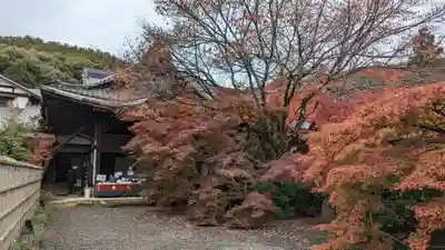 実相院門跡(京都府)
