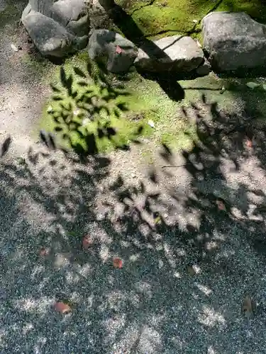 賀茂御祖神社（下鴨神社）(京都府)