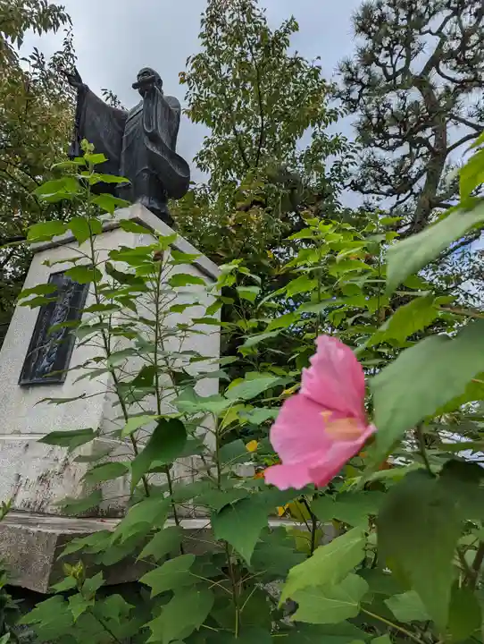 妙蓮寺(京都府)