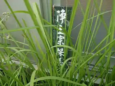 採養院(愛知県)