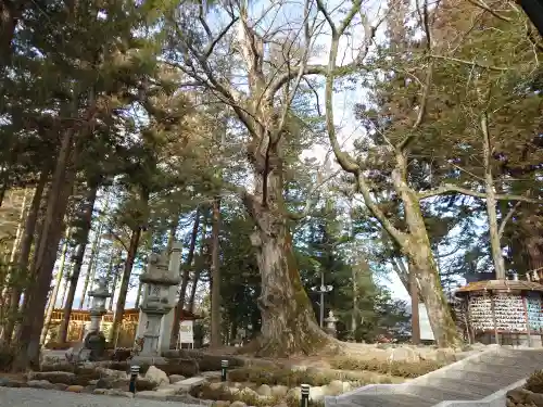 諏訪大社下社秋宮(長野県)