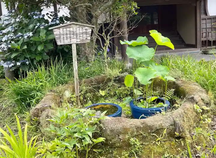 極楽寺(霊鷲山感應院極楽律寺)の庭園