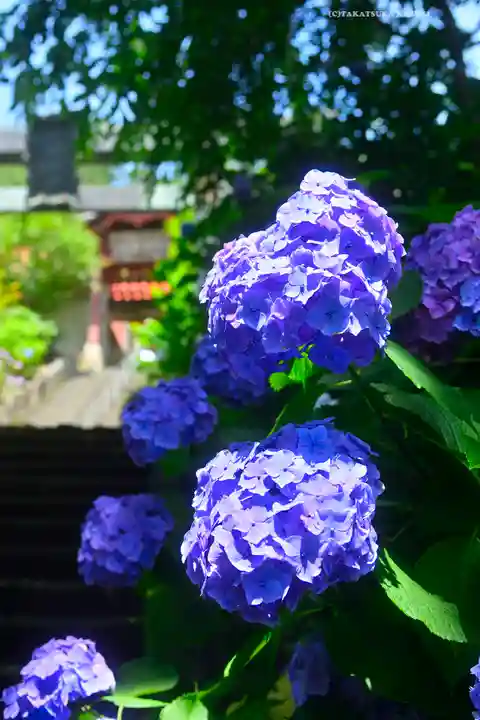 太平山神社(栃木県)
