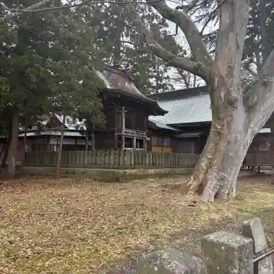 蠶養國神社(福島県)