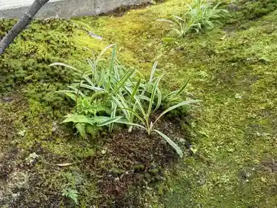 西方山極楽寺(岐阜県)