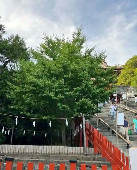鶴岡八幡宮の自然