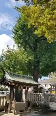綾瀬神社の手水舎