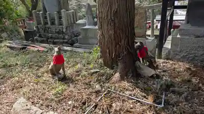 伏見豊川稲荷本宮(京都府)