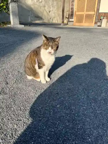 一宮神社(福岡県)