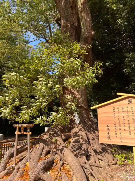 和泉國一之宮 大鳥大社の自然