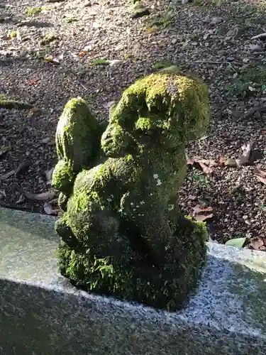 佐太神社の狛犬