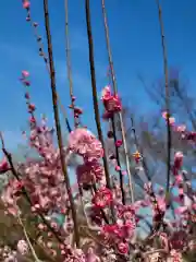 石清水八幡宮(京都府)