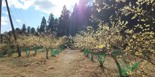 慈光寺の庭園