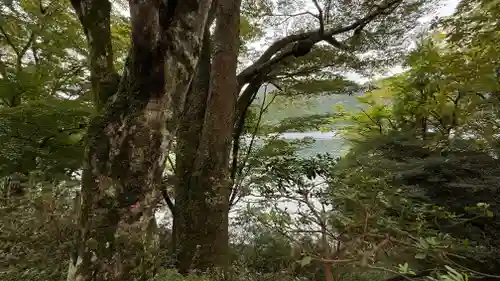 九頭龍神社本宮(神奈川県)