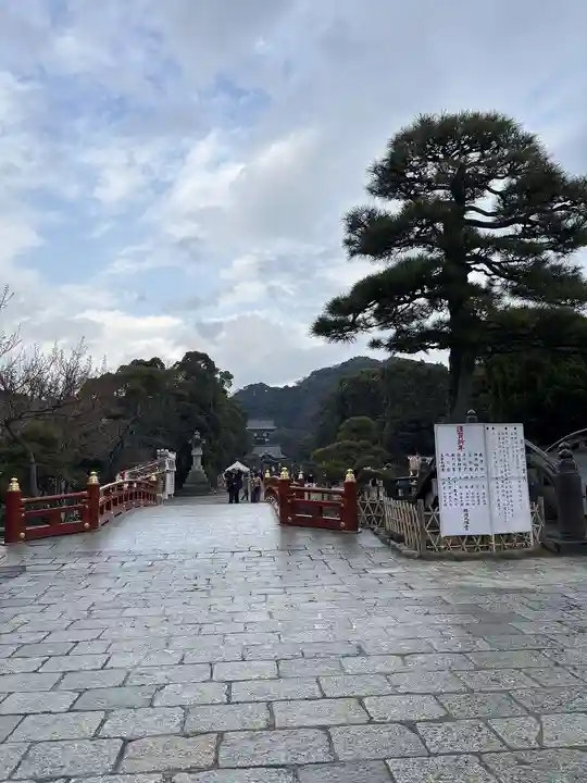 鶴岡八幡宮の景色