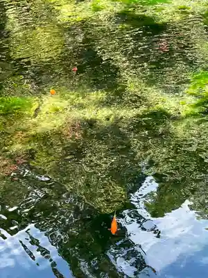 涌釜神社(栃木県)