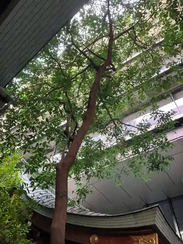 築土神社(東京都)