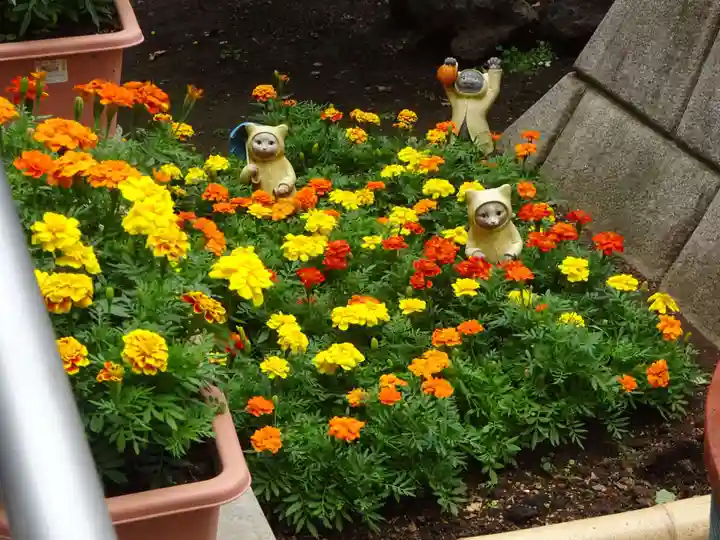 高円寺氷川神社の自然