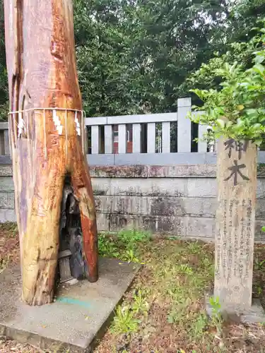安房神社の自然