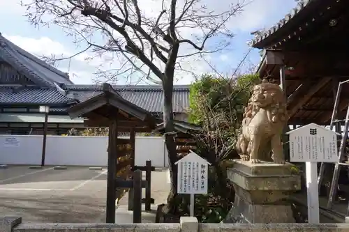 柿本神社の狛犬