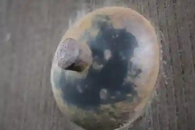 喜多院のその他建物