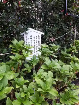 蓮田東照宮のその他建物