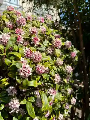 福王山  慈眼寺(東京都)