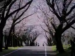 母智丘神社の周辺