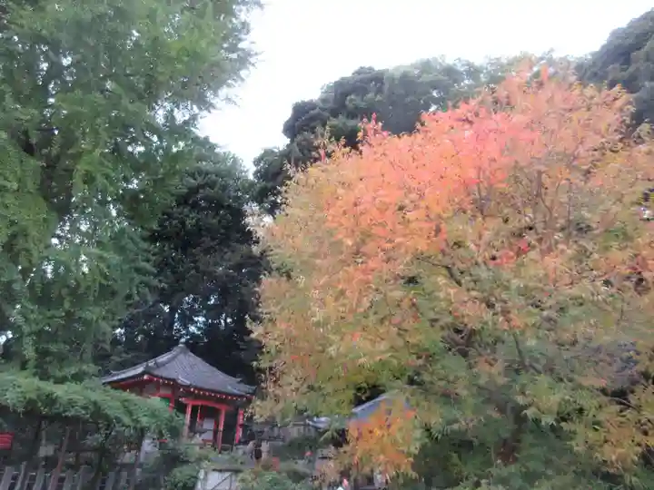 瀧泉寺(目黒不動尊)(東京都)