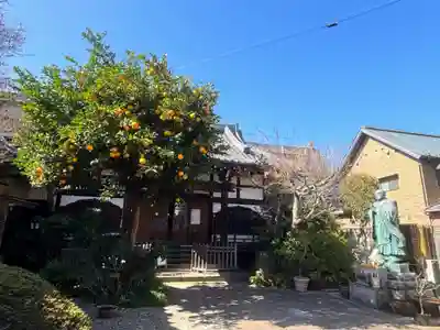 佛心寺(東京都)