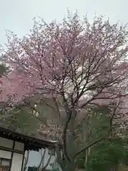 那須温泉神社(栃木県)