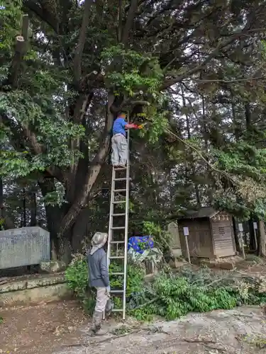伏木香取神社(茨城県)