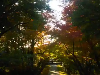 天嶽院のその他建物