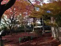 龍尾寺の自然
