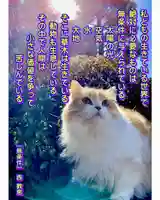 西教寺(下松駅徒歩5分)の動物