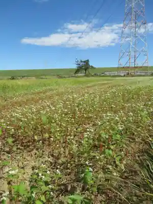 子の権現神社(埼玉県)