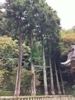 六所神社(大分県)