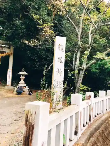 龍尾神社のその他建物