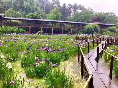 本土寺(千葉県)