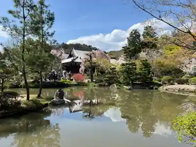 法金剛院(京都府)