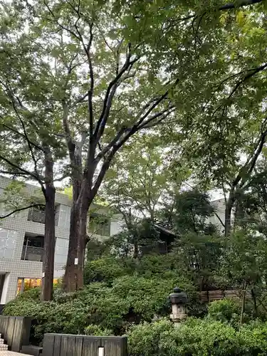 猿楽神社の自然