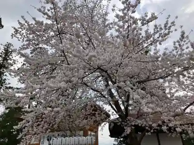 寒河江八幡宮(山形県)