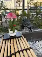 亀戸浅間神社(東京都)